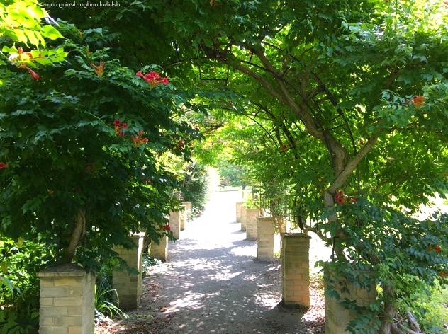 Ventnor Botanic Garden: Botanical Gardens and Nature Trails