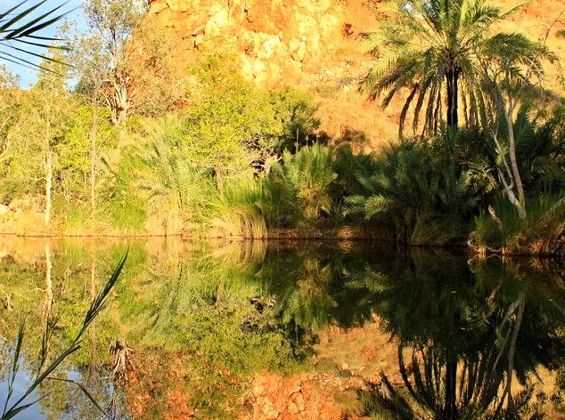 Day trips around Alice Springs