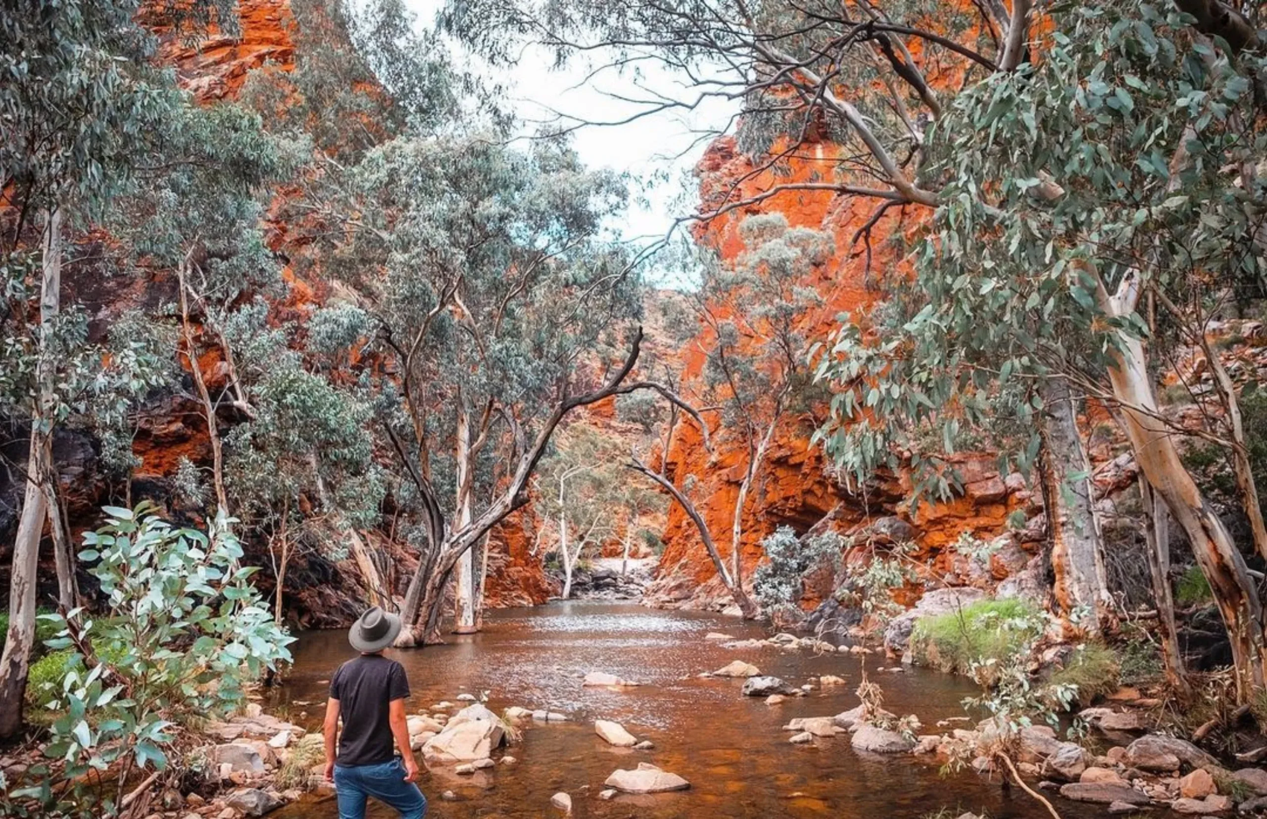 aerial views, Larapinta