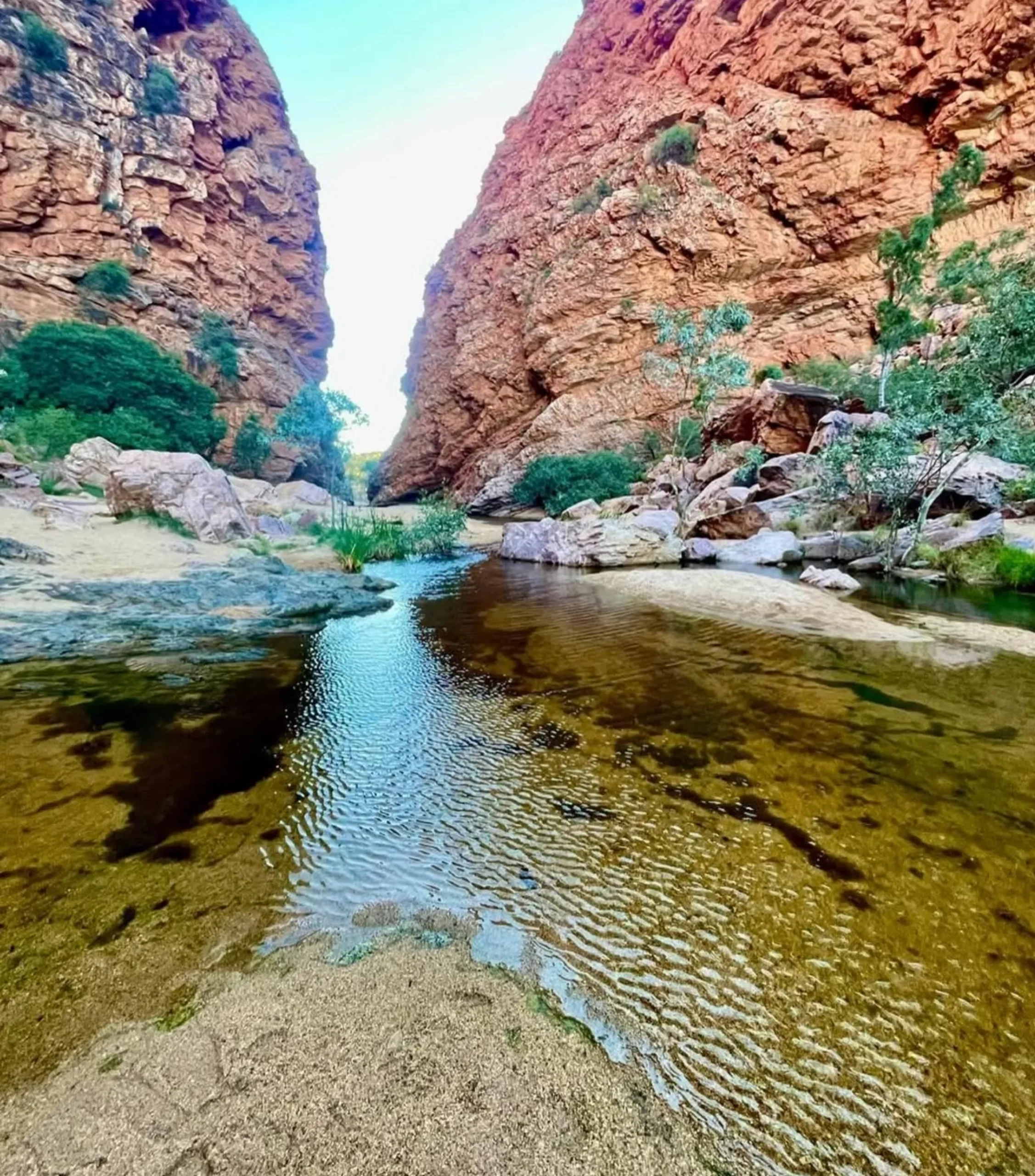 swimming hole, Larapinta