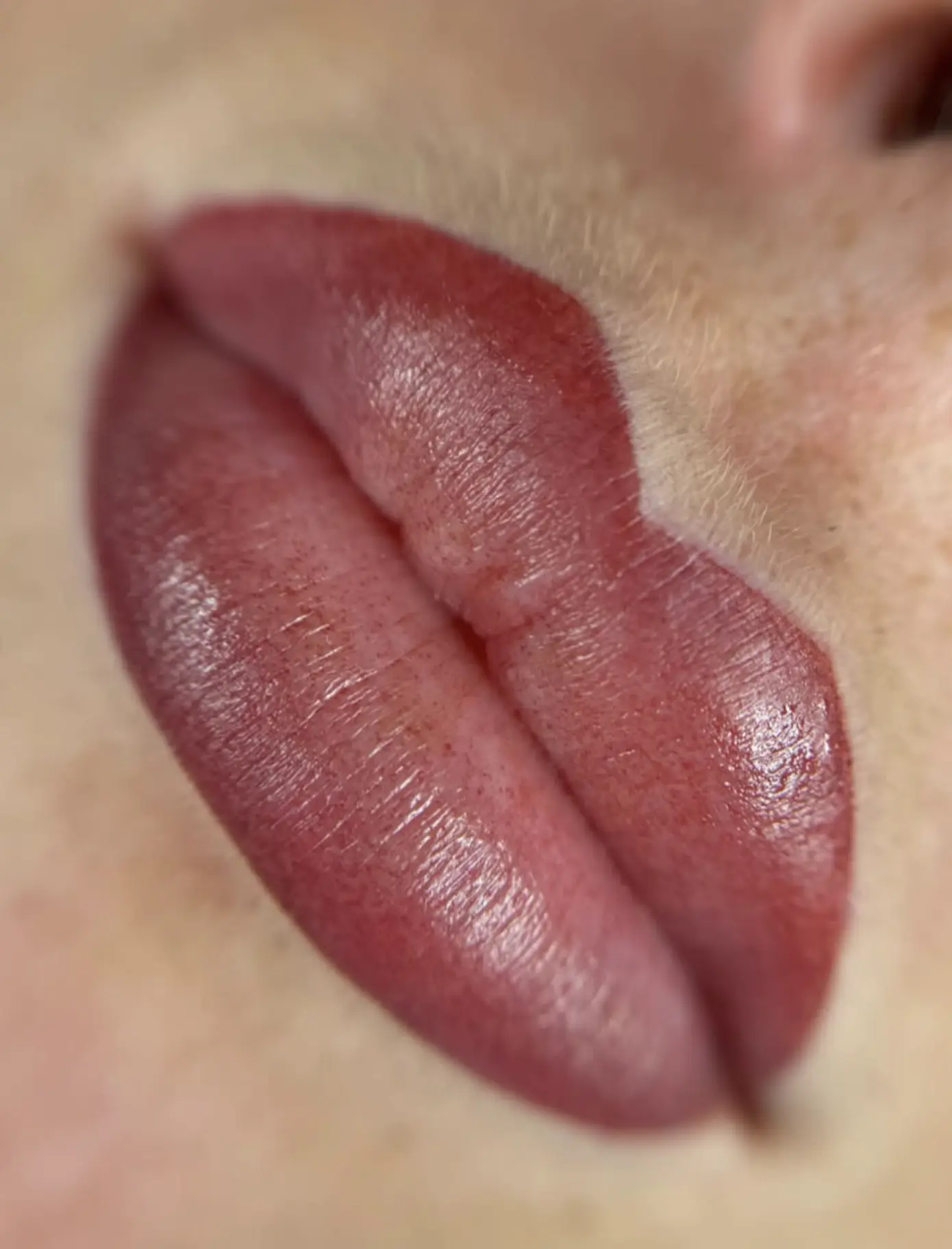 permanent lip tint for dark lips