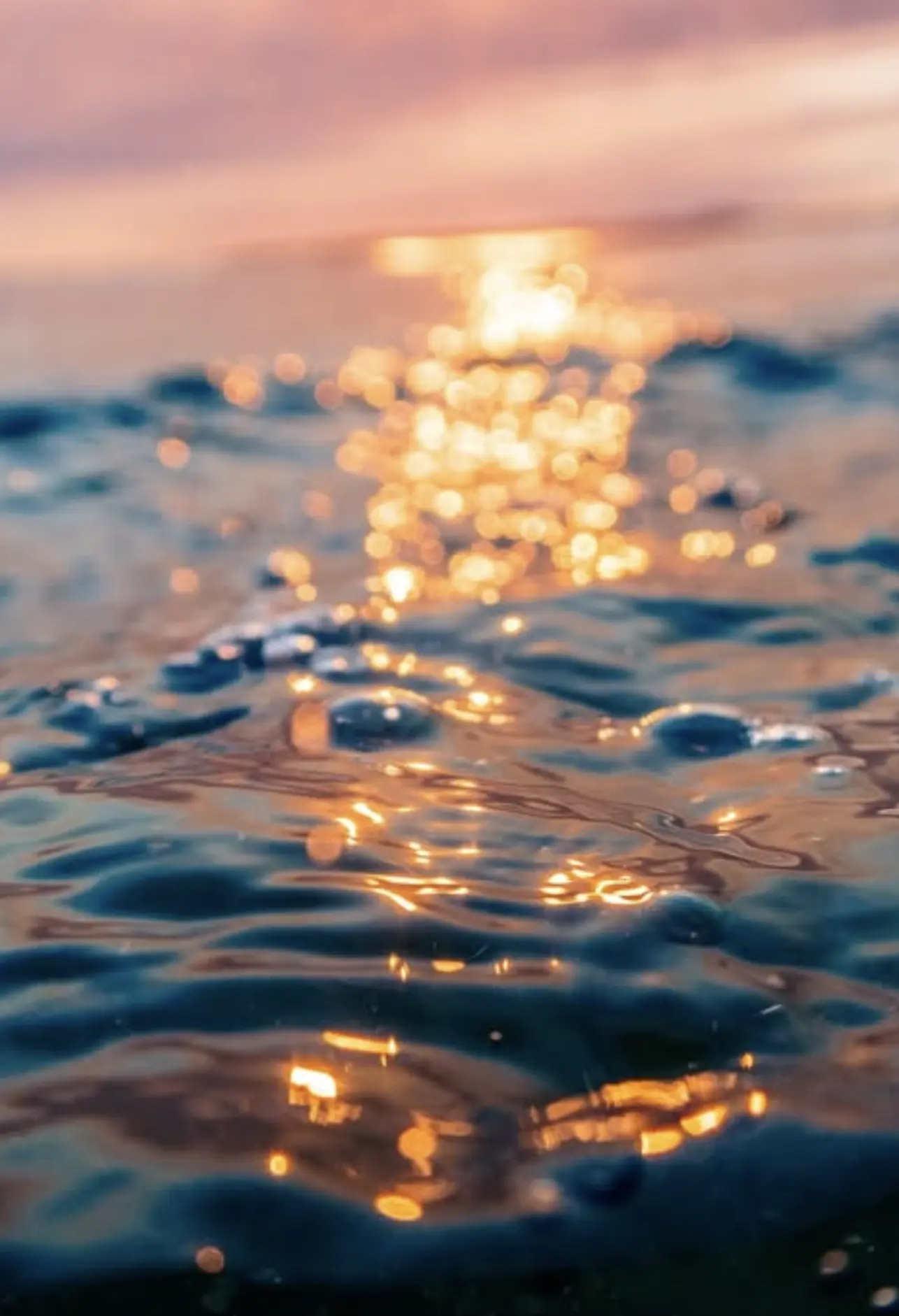 best phillip island beaches