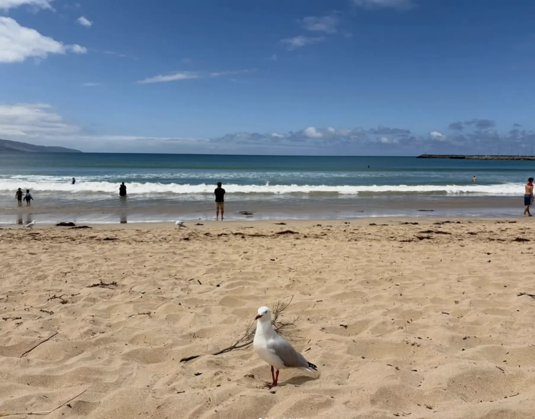 phillip island patrolled beaches